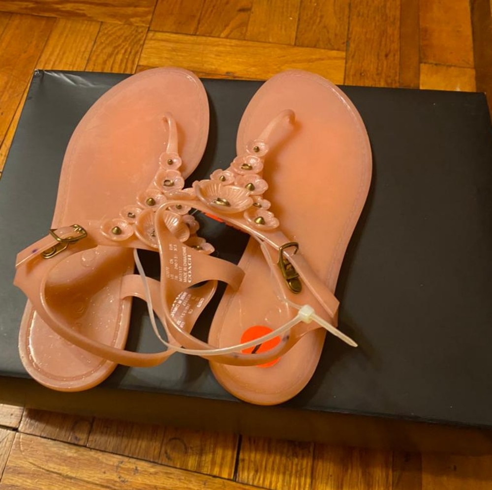 COACH Peony Tea Rose Multi Jelly Sandal